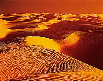 玩家的胜利！CDPR似乎暗改了希里 现在看得顺眼了