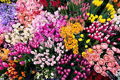 《传说之下》团队新作《Deltarune：第二章》正式上线 同时在线玩家突破10万